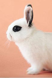 Steam新一周销量榜 Steam Deck登顶